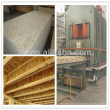 china OSB3(oriented strand board) manufacturer